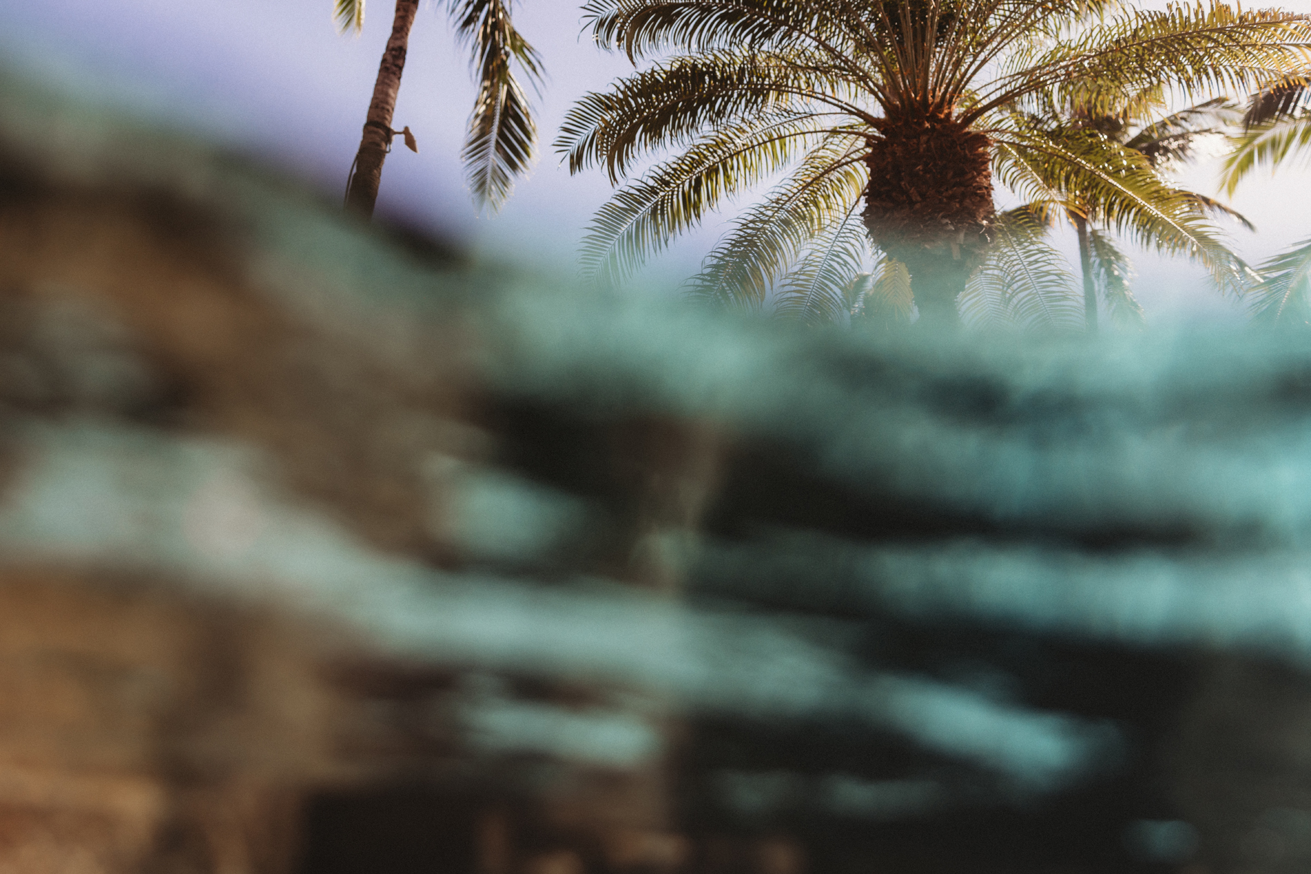 Branding Photographer, through ocean water, two palm trees stick out